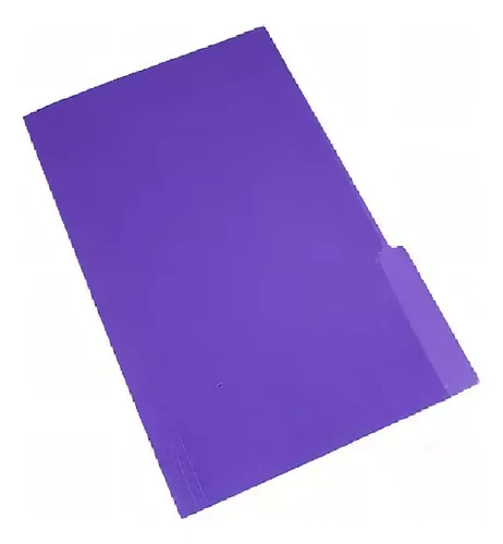 Carpeta Interna Nepaco 3 Posiciones Violeta